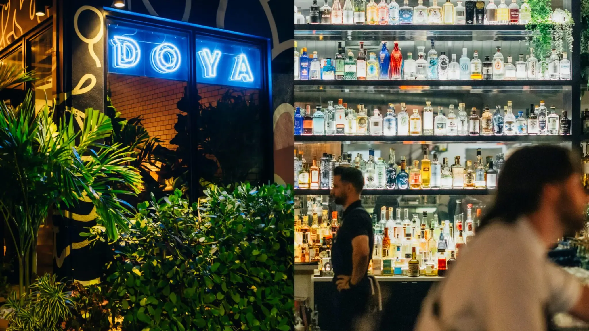 DOYA — photo 1