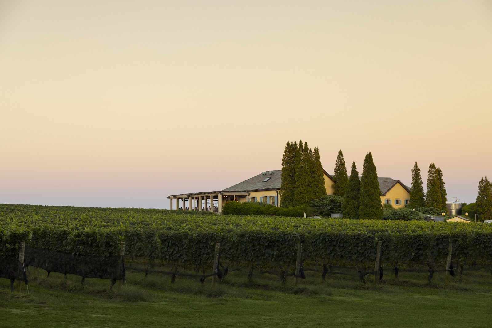 Wölffer Estate Vineyard — photo 5