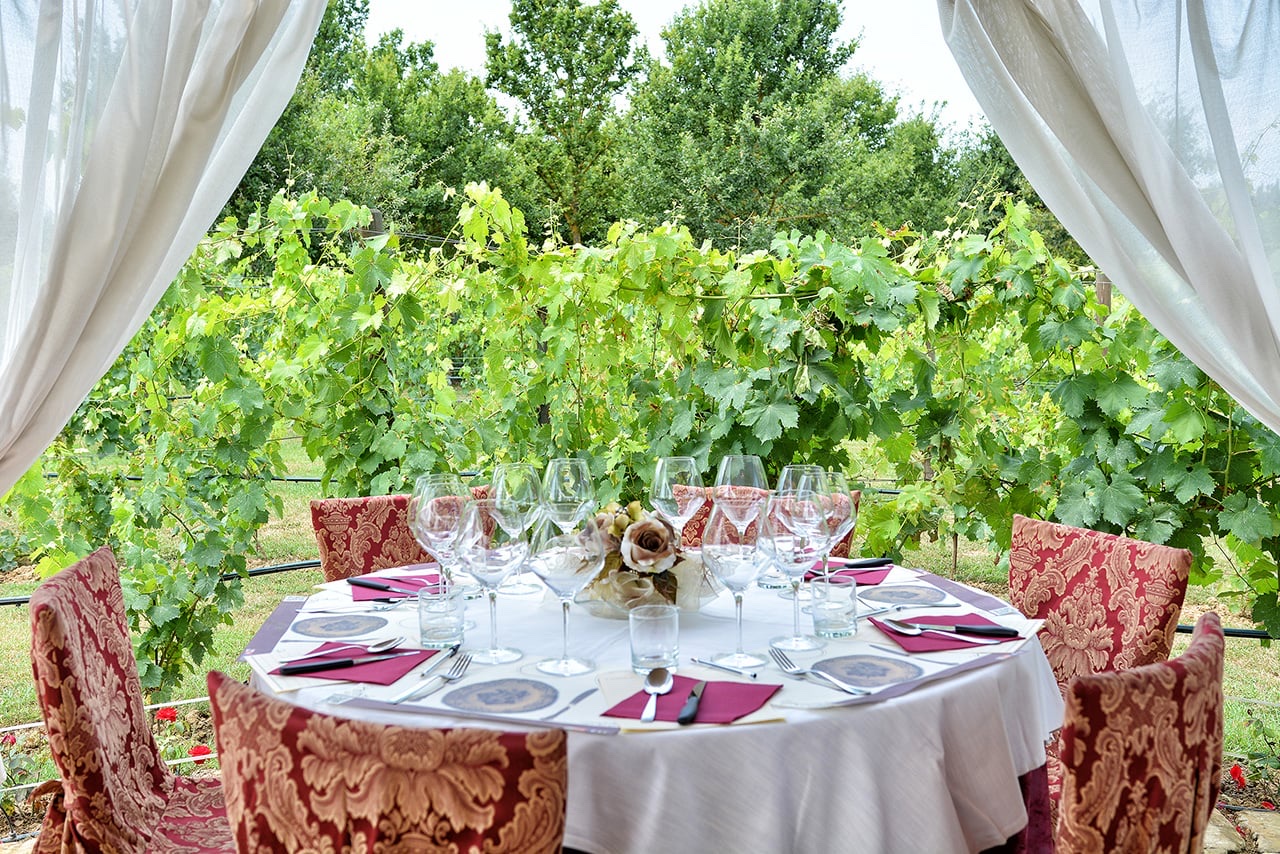 Tenuta Torciano — photo 4