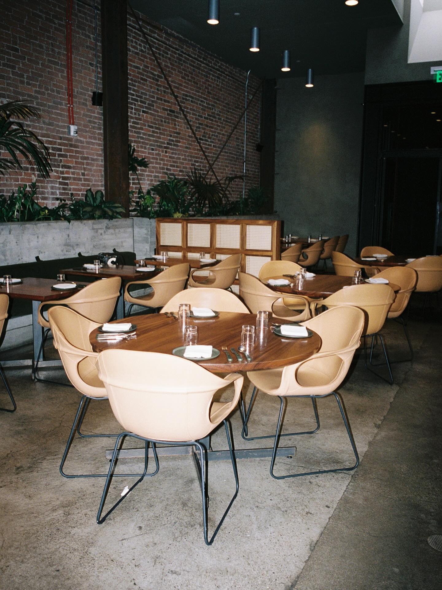 San Damián — photo 6