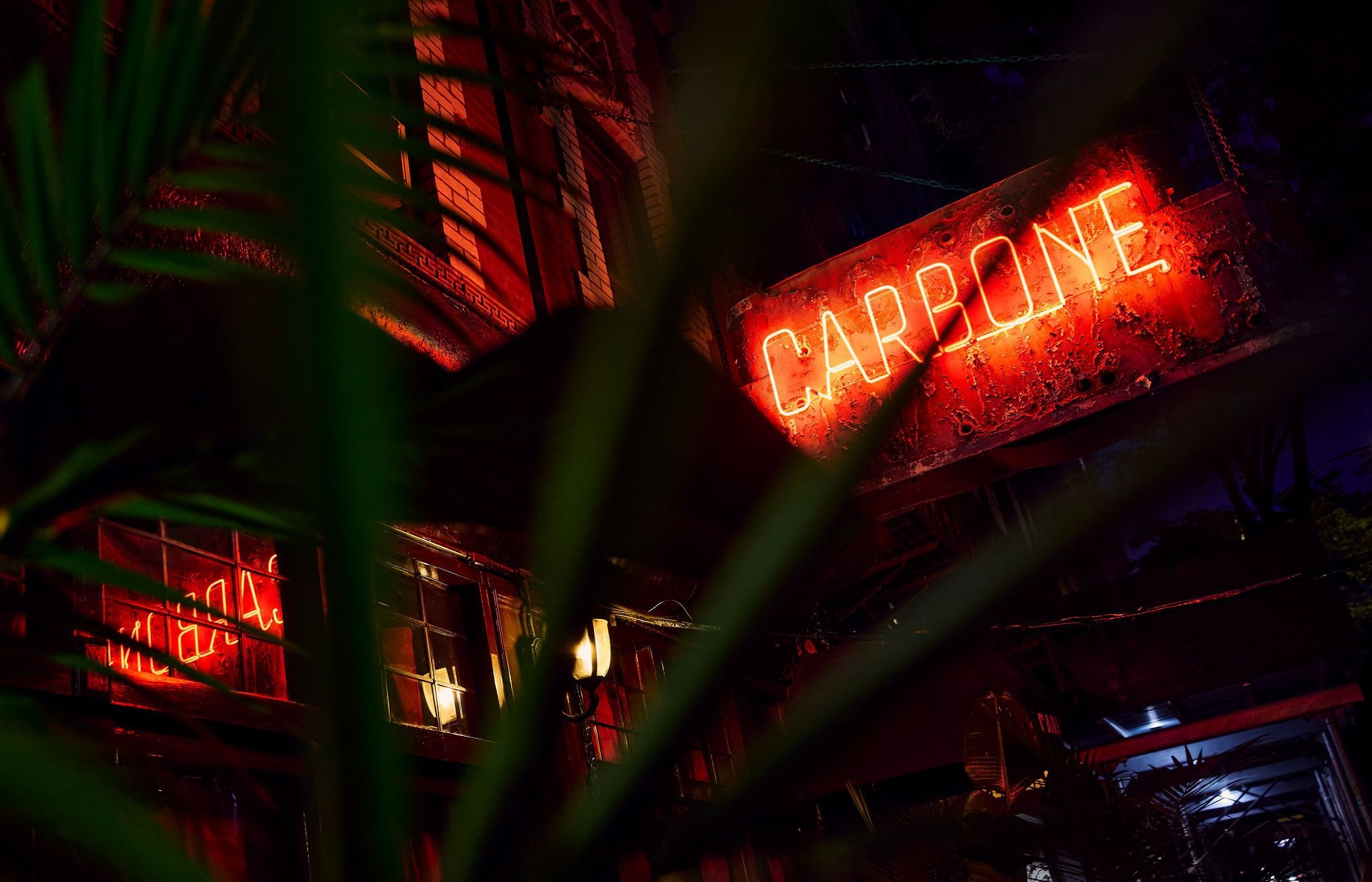 Carbone — photo 1