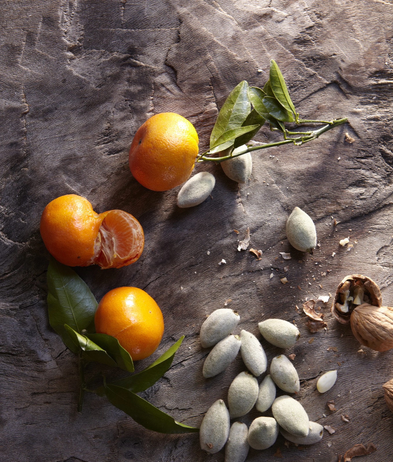 Via Carota — photo 5