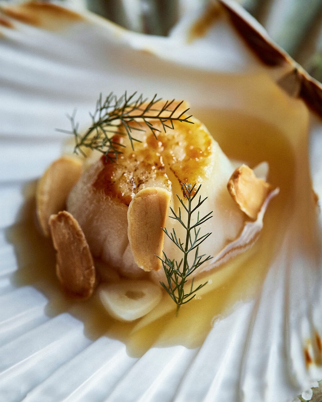 Gucci Osteria da Massimo Bottura — photo 4