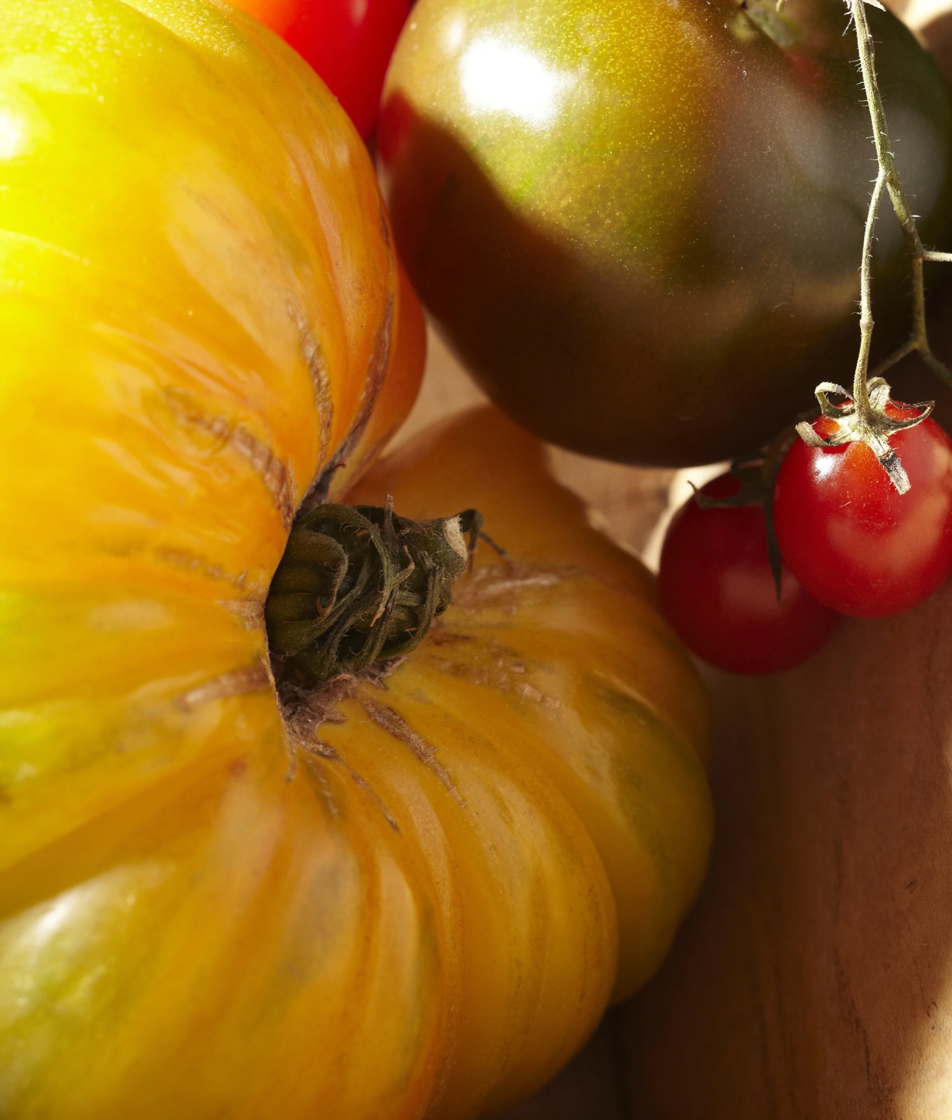 Via Carota — photo 8