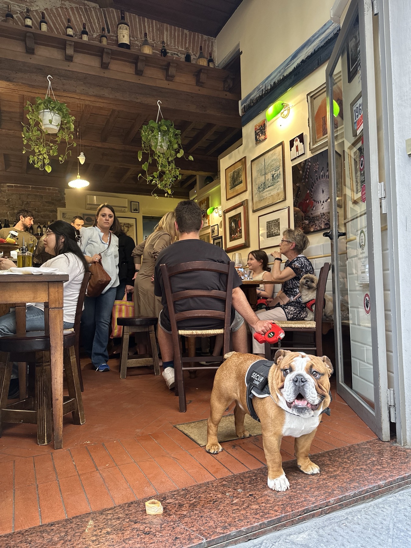 Osteria Vini e Vecchi Sapori — photo 2