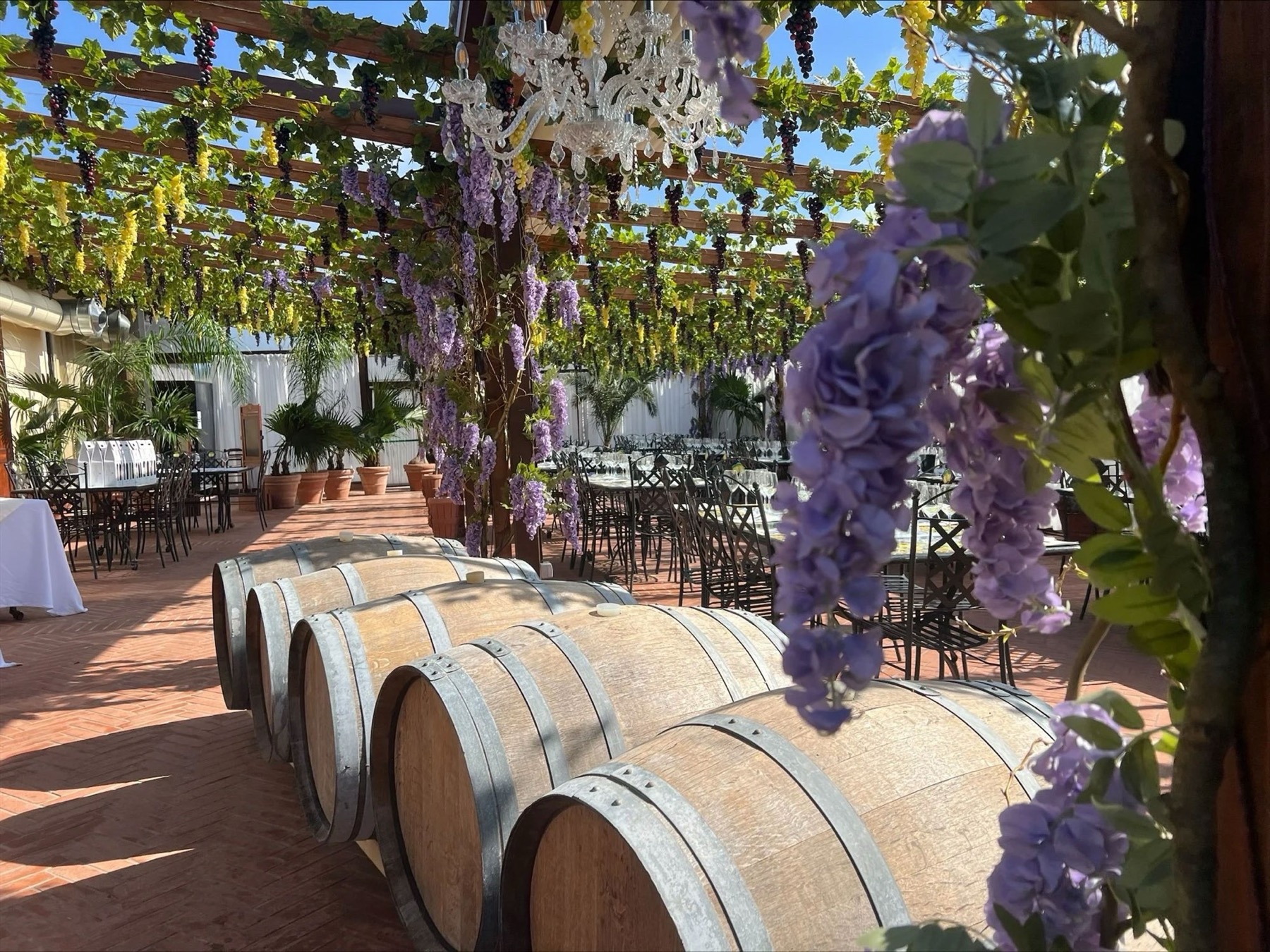 Tenuta Torciano