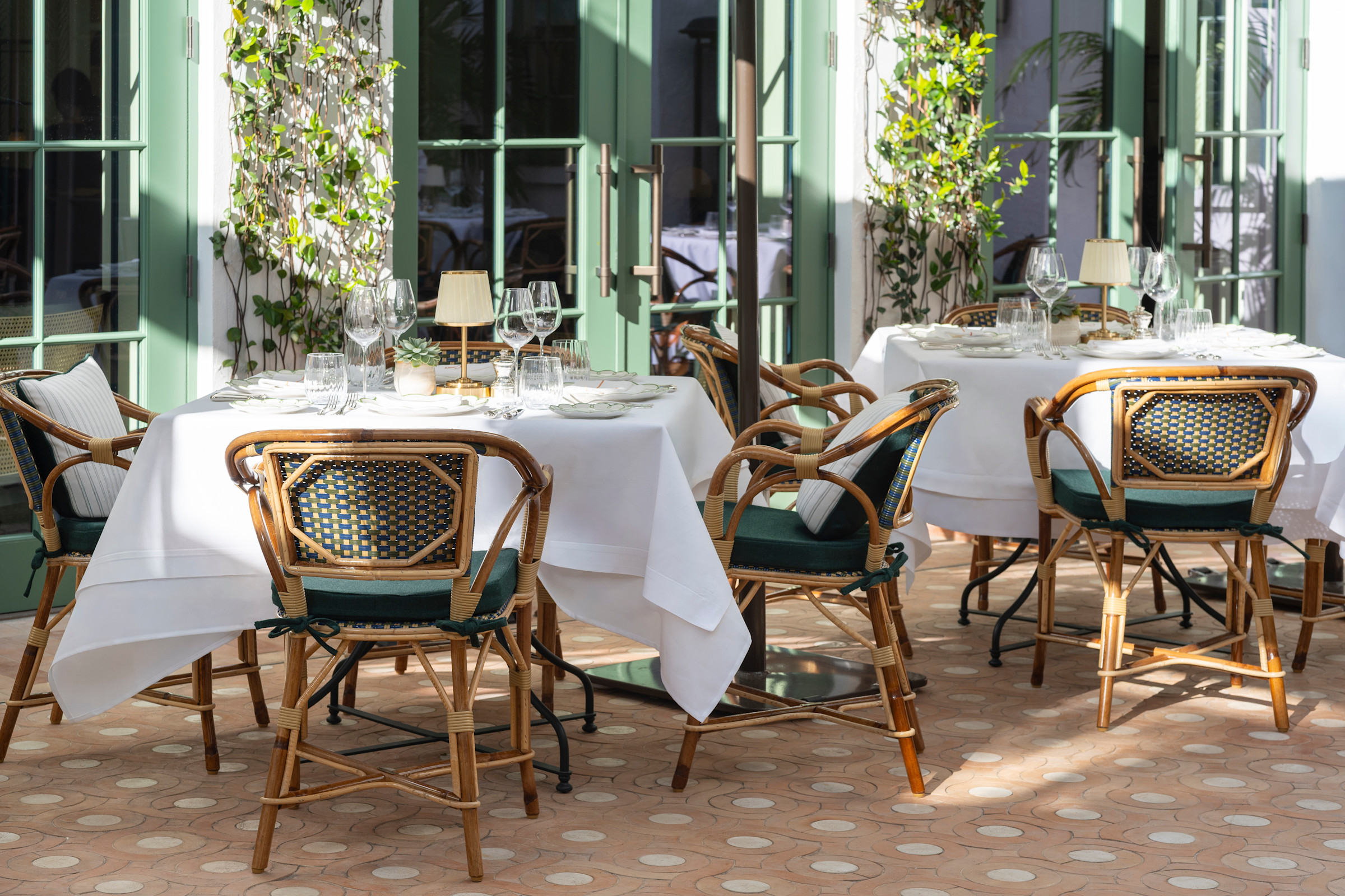 Coco at The Vineta — photo 7