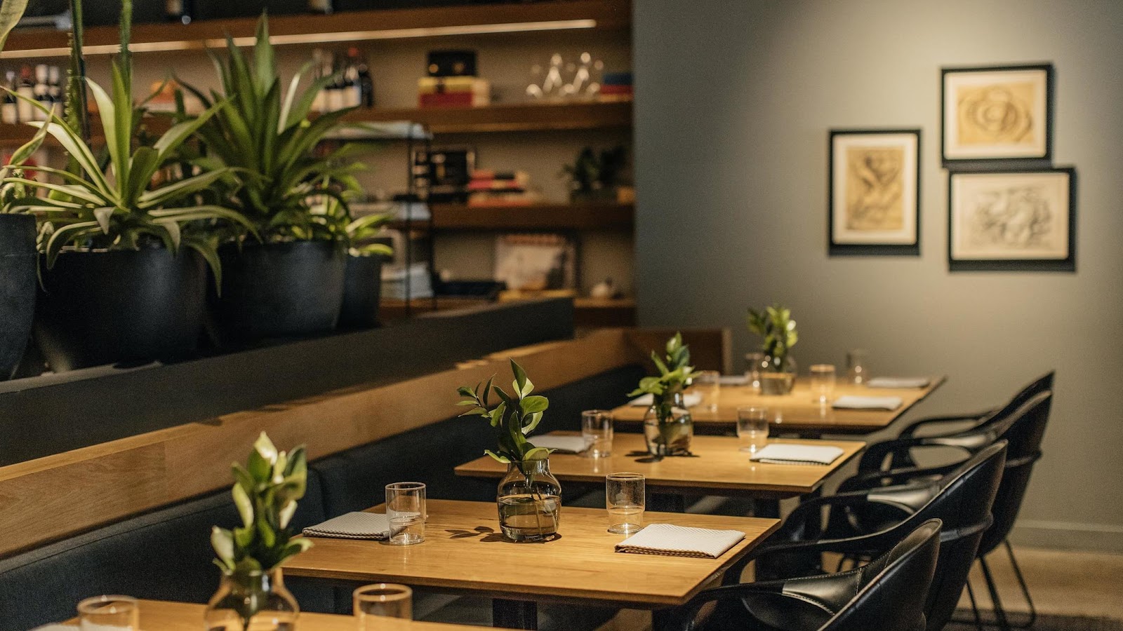 Cosme — photo 2