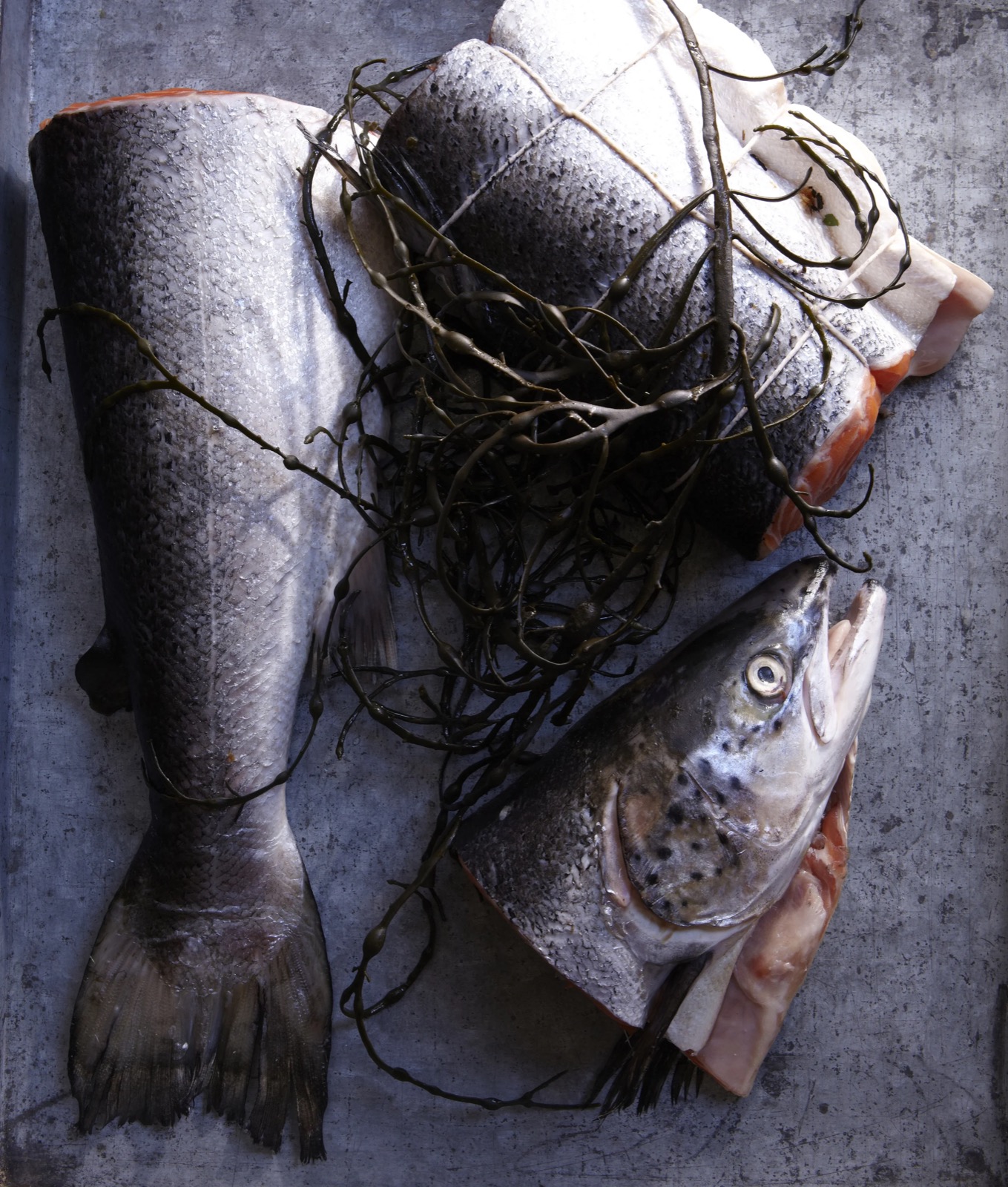 Via Carota — photo 4