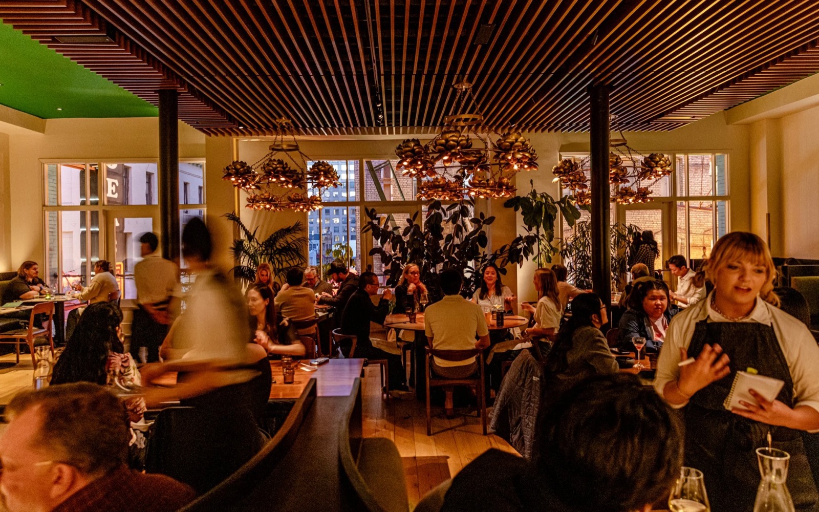 Mister Jiu's — photo 3
