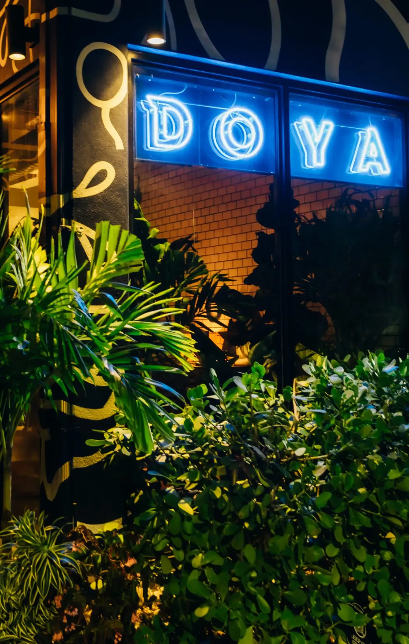 DOYA — photo 6