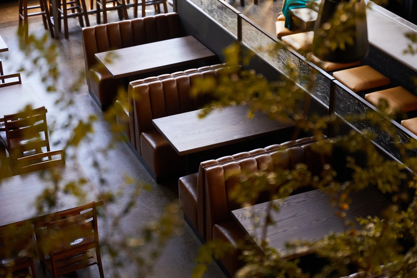 Nopa — photo 3