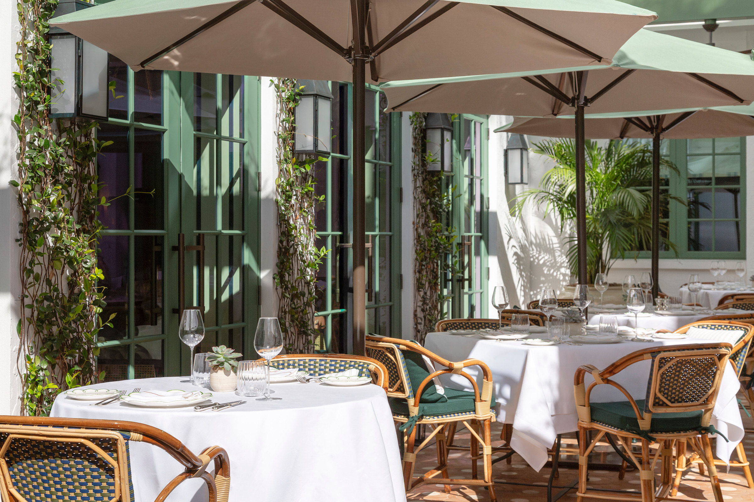 Coco at The Vineta — photo 2