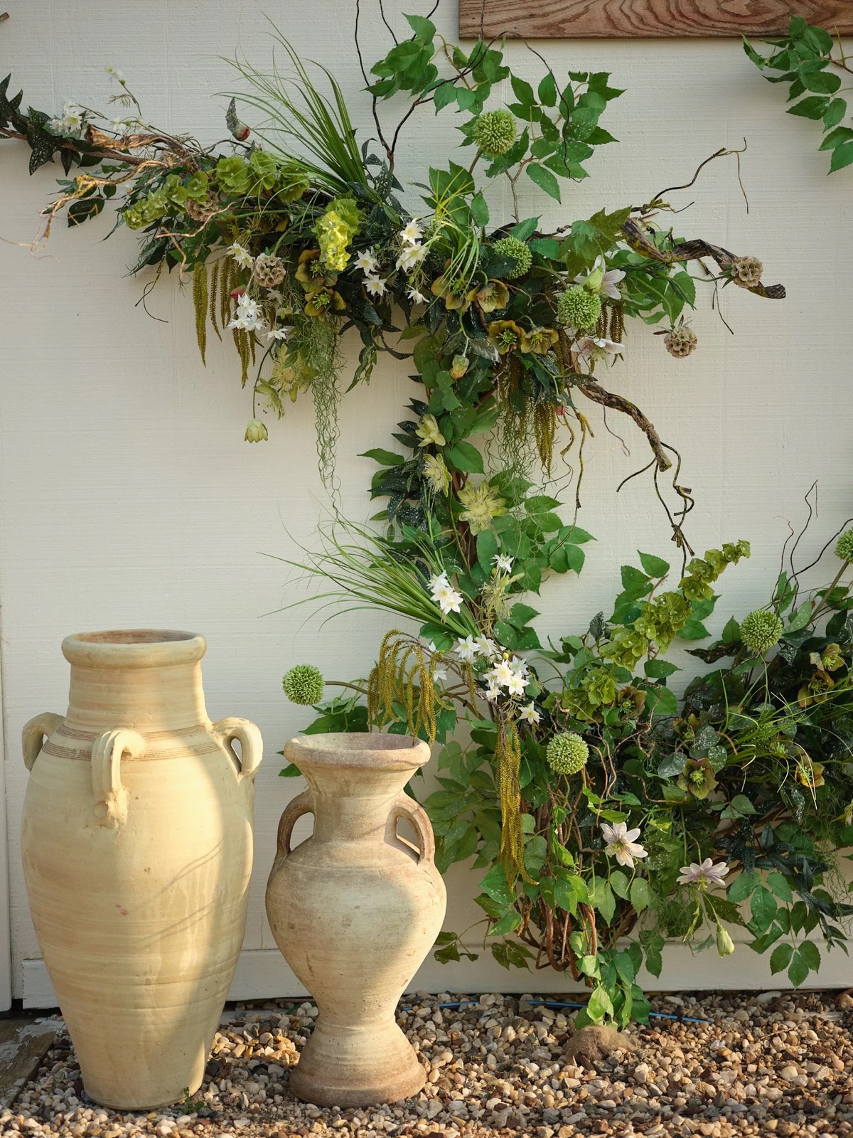 Rooted — photo 4